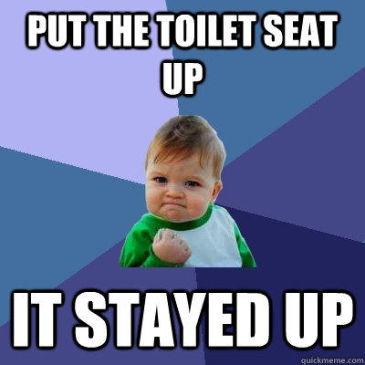 PUT THE TOILET SEAT UP IT STAYED UP  Success Kid