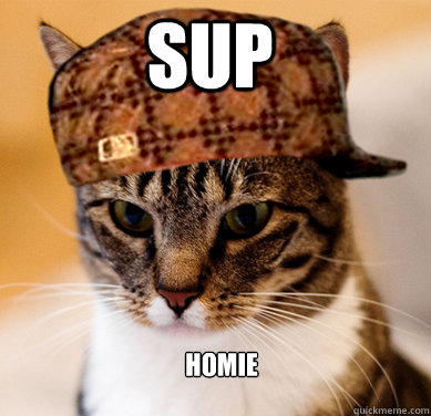 sup homie
 - sup homie
  Scumbag Cat