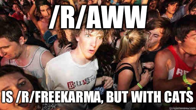 /r/aww Is /r/freekarma, but with cats  Sudden Clarity Clarence