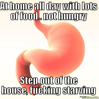 AT HOME ALL DAY WITH LOTS OF FOOD.. NOT HUNGRY STEP OUT OF THE HOUSE, FUCKING STARVING Misc