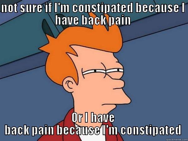 NOT SURE IF I'M CONSTIPATED BECAUSE I HAVE BACK PAIN OR I HAVE BACK PAIN BECAUSE I'M CONSTIPATED Futurama Fry