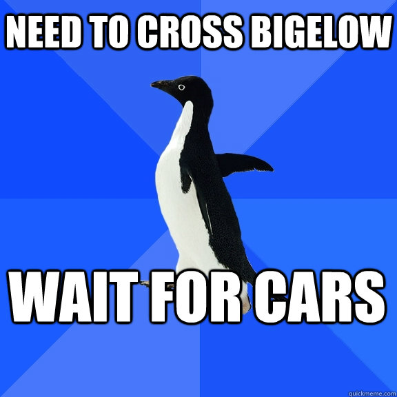 Need to cross bigelow wait for cars    Socially Awkward Penguin