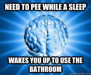 Need to pee while a sleep wakes you up to use the bathroom  Good Guy Brain