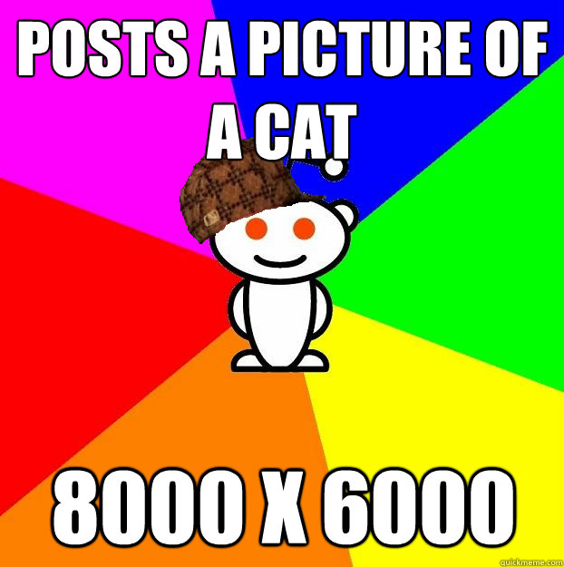 posts a picture of a cat 8000 x 6000  Scumbag Redditor