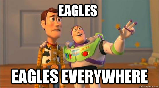 Eagles Eagles everywhere  Buzz Glitter
