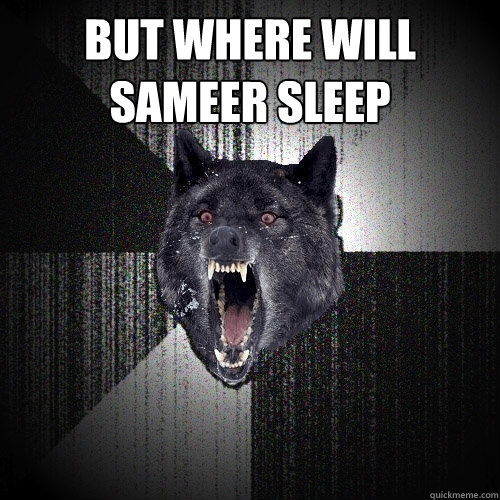 BUT WHERE WILL SAMEER SLEEP   Insanity Wolf