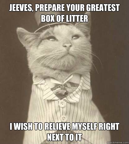 Jeeves, prepare your greatest box of litter I wish to relieve myself right next to it  Aristocat