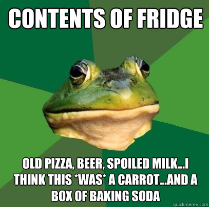 contents of fridge old pizza, beer, spoiled milk...I think this *was* a carrot...and a box of baking soda  Foul Bachelor Frog