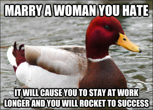 Marry a woman you hate it will cause you to stay at work longer and you will rocket to success  Malicious Advice Mallard