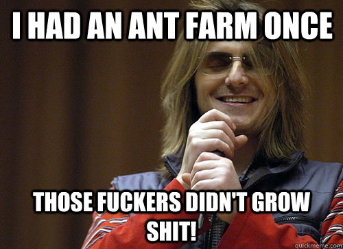 I had an ant farm once those fuckers didn't grow shit! - I had an ant farm once those fuckers didn't grow shit!  Mitch Hedberg Meme