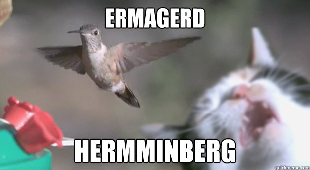 ermagerd hermminberg - ermagerd hermminberg  ermagerd