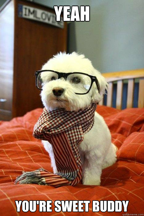 yeah You're sweet buddy  Hipster Dog