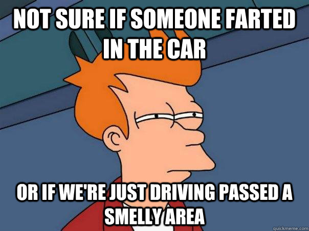 Not sure if someone farted in the car Or if we're just driving passed a smelly area  Futurama Fry