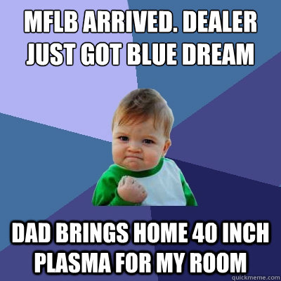 mflb arrived. dealer just got blue dream dad brings home 40 inch plasma for my room  Success Kid