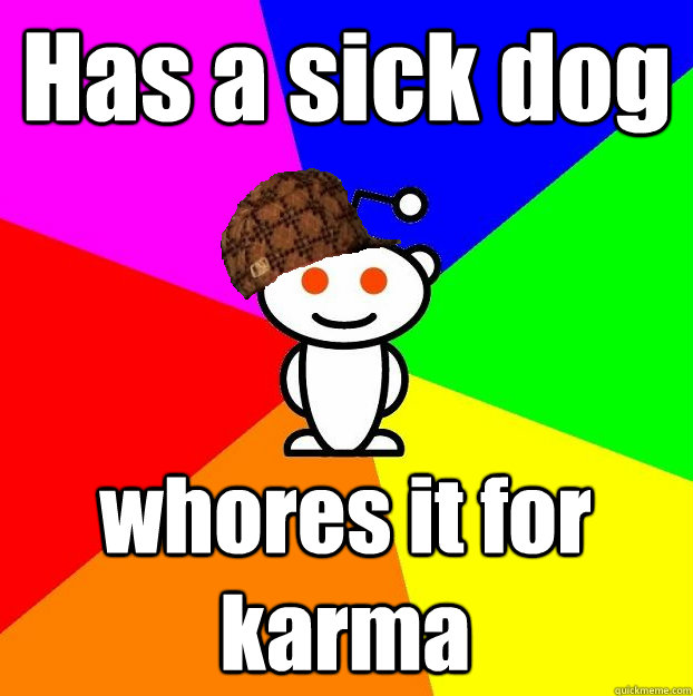 Has a sick dog whores it for karma  Scumbag Redditor