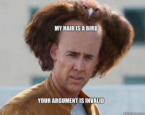 My hair is a bird Your argument is invalid - My hair is a bird Your argument is invalid  Crazy Nicolas Cage