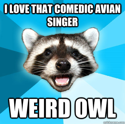 I LOVE THAT COMEDIC AVIAN SINGER WEIRD OWL  Lame Pun Coon
