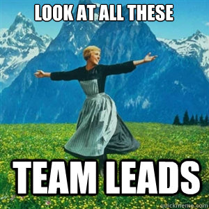 look at all these  team leads  And look at all the fucks I give