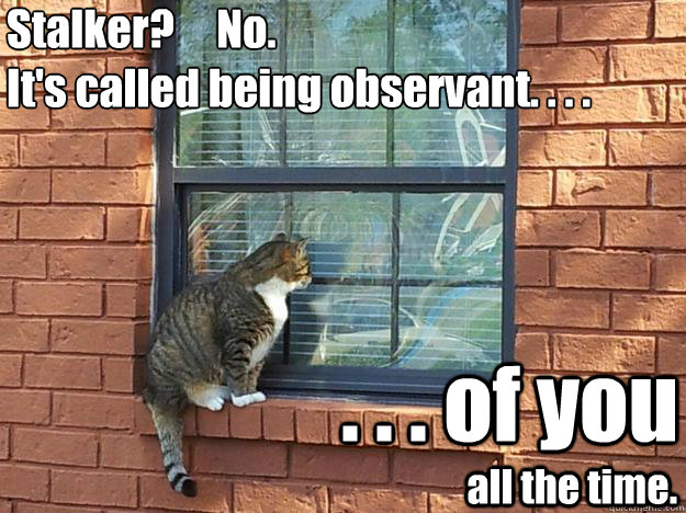 Stalker?     No.
It's called being observant. . . .  . . . of you all the time.  Stalker Cat