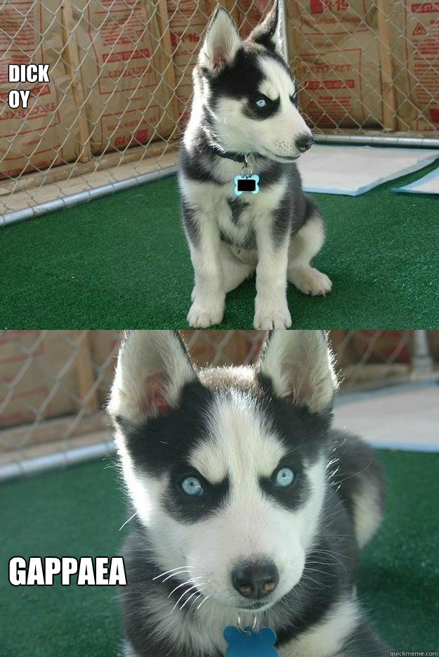 dick
oy gappaea  Insanity puppy