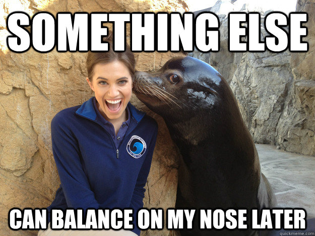 something else can balance on my nose later - something else can balance on my nose later  Sea Lion