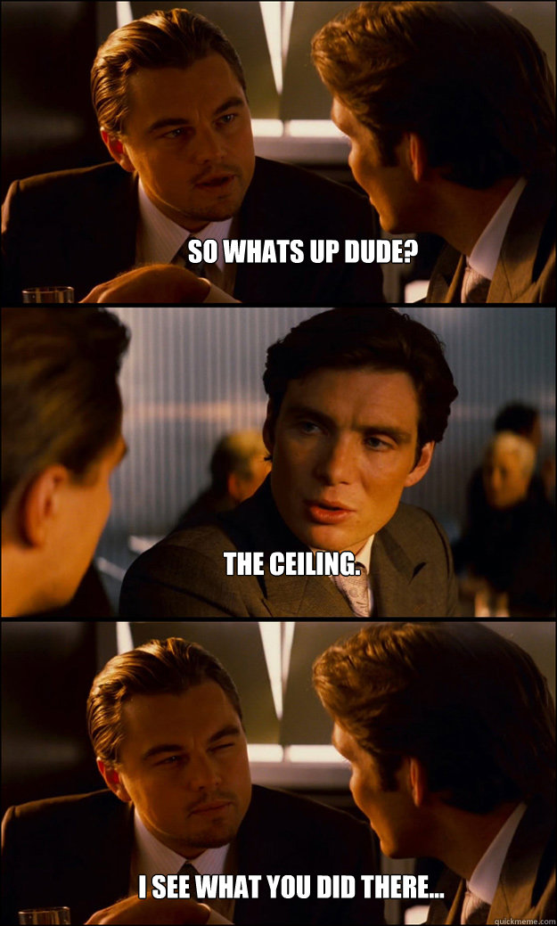 SO WHATS UP DUDE? THE CEILING. I SEE WHAT YOU DID THERE...  Inception