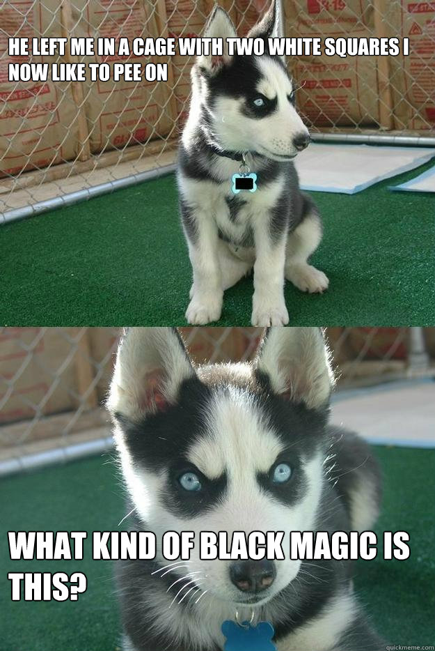 He left me in a cage with two white squares I now like to pee on


 What kind of black magic is this?  Insanity puppy