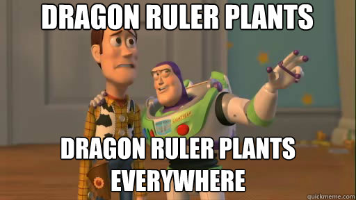 Dragon Ruler plants Dragon Ruler plants
Everywhere  Everywhere