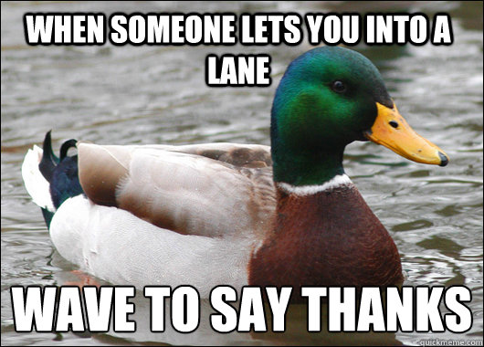 When someone lets you into a lane Wave to say thanks
  Actual Advice Mallard