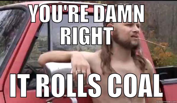 YOU'RE DAMN RIGHT IT ROLLS COAL Almost Politically Correct Redneck