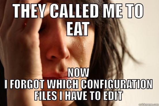 THEY CALLED ME TO EAT NOW I FORGOT WHICH CONFIGURATION FILES I HAVE TO EDIT First World Problems