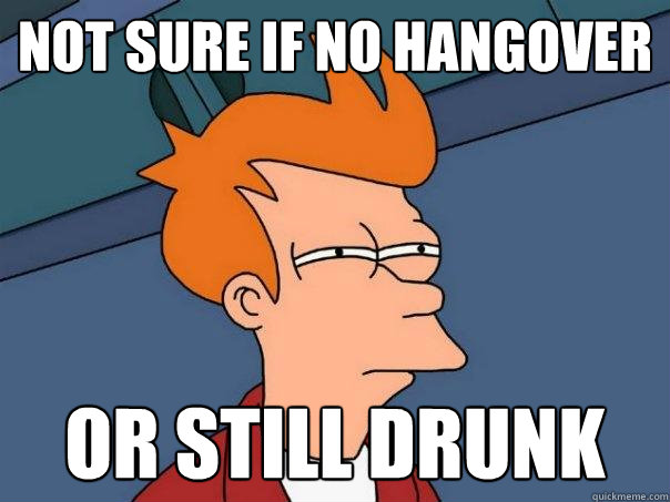 Not sure if no hangover or still drunk - Not sure if no hangover or still drunk  Futurama Fry