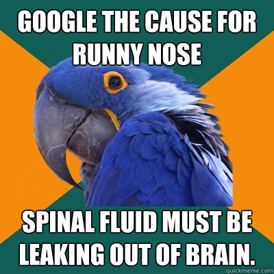 Google the cause for runny nose Spinal fluid must be leaking out of brain. - Google the cause for runny nose Spinal fluid must be leaking out of brain.  Paranoid Parrot