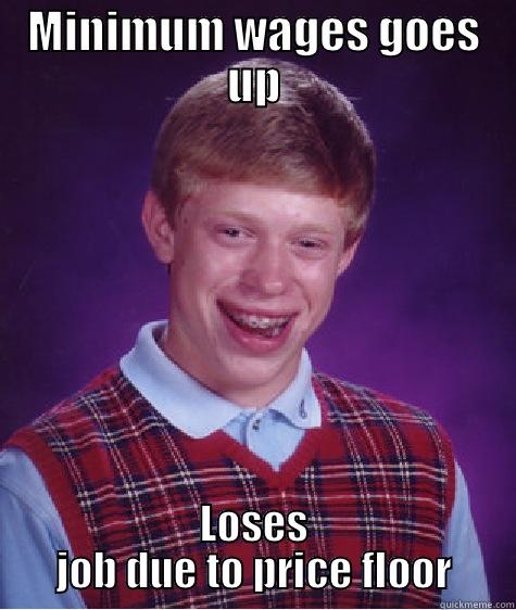 Econ Meme  - MINIMUM WAGES GOES UP LOSES JOB DUE TO PRICE FLOOR Bad Luck Brian