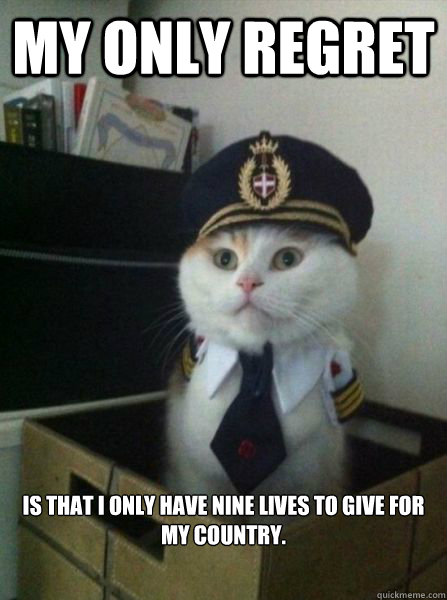 My only regret is that I only have nine lives to give for my country. - My only regret is that I only have nine lives to give for my country.  Important Message from Captain Cat