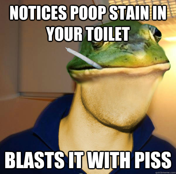 notices poop stain in your toilet blasts it with piss  Good Guy Foul Bachelor Frog