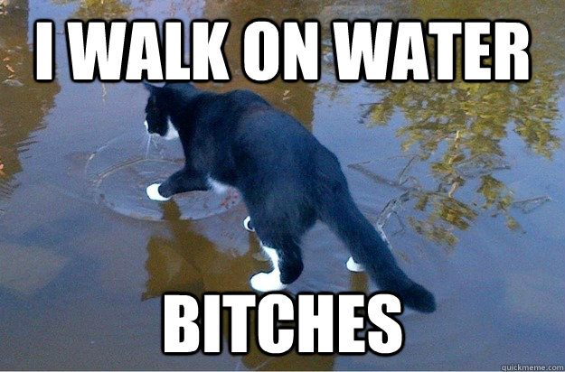 I walk on water bitches  Jesus Cat