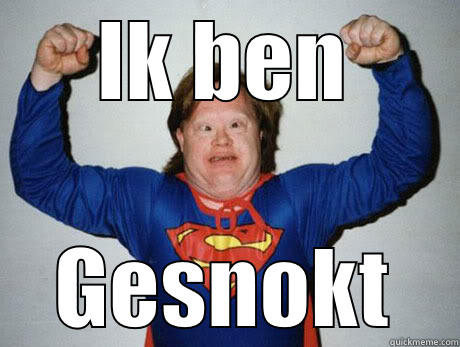 IK BEN GESNOKT Misc