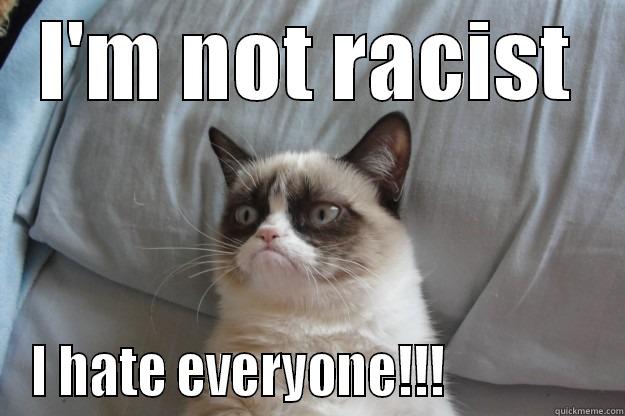 I'M NOT RACIST I HATE EVERYONE!!!               Grumpy Cat