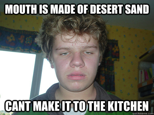 MOUTH IS MADE OF DESERT SAND CANT MAKE IT TO THE KITCHEN  First World Stoner Problems