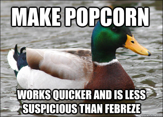 Make popcorn Works quicker and is less suspicious than febreze  Actual Advice Mallard
