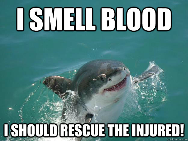 I smell blood I should rescue the injured!  Misunderstood Shark