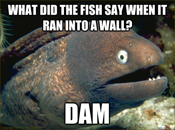 What did the fish say when it ran into a wall? Dam  Bad Joke Eel