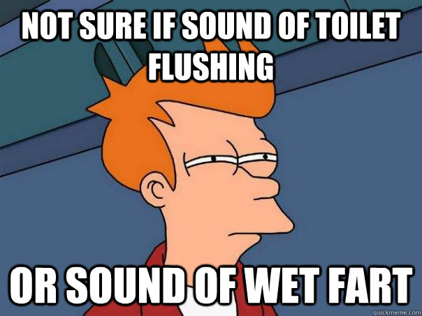 Not sure if sound of toilet flushing Or sound of wet fart  Futurama Fry