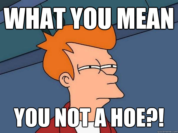 What you mean YOU NOT A HOE?!  Futurama Fry