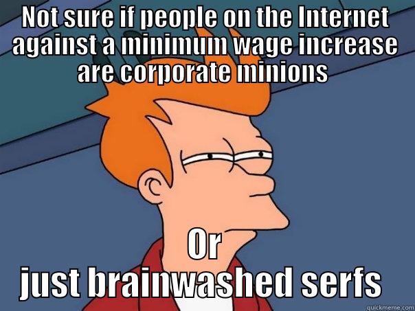 NOT SURE IF PEOPLE ON THE INTERNET AGAINST A MINIMUM WAGE INCREASE ARE CORPORATE MINIONS  OR JUST BRAINWASHED SERFS  Futurama Fry