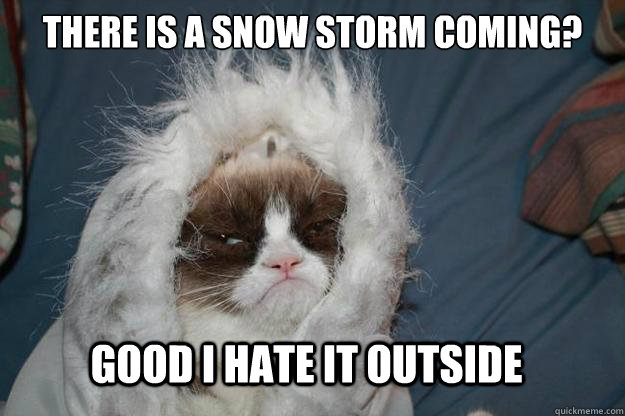 There is a snow storm coming?

 GOOD i HATE IT OUTSIDE - There is a snow storm coming?

 GOOD i HATE IT OUTSIDE  Cold Grumpy Cat