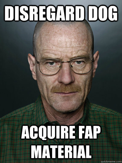 disregard dog acquire fap material  - disregard dog acquire fap material   Advice Walter White