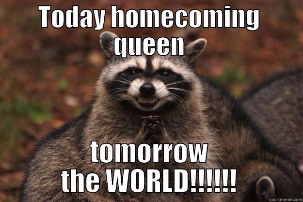 Raccoon Meme - TODAY HOMECOMING QUEEN TOMORROW THE WORLD!!!!!! Evil Plotting Raccoon