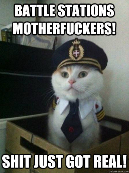 Battle stations motherfuckers! Shit just got real!  Captain kitteh